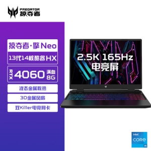 宏碁（acer）掠夺者·擎Neo 16英寸2.5K电竞游戏本 第13代酷睿H55 工作站级笔记本电脑(14核i5-13500HX 16G 512G RTX4060)